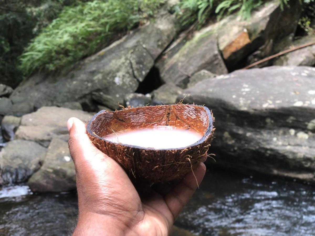 Palabaddala Tea And Eco Lodge Ratnapura Ngoại thất bức ảnh
