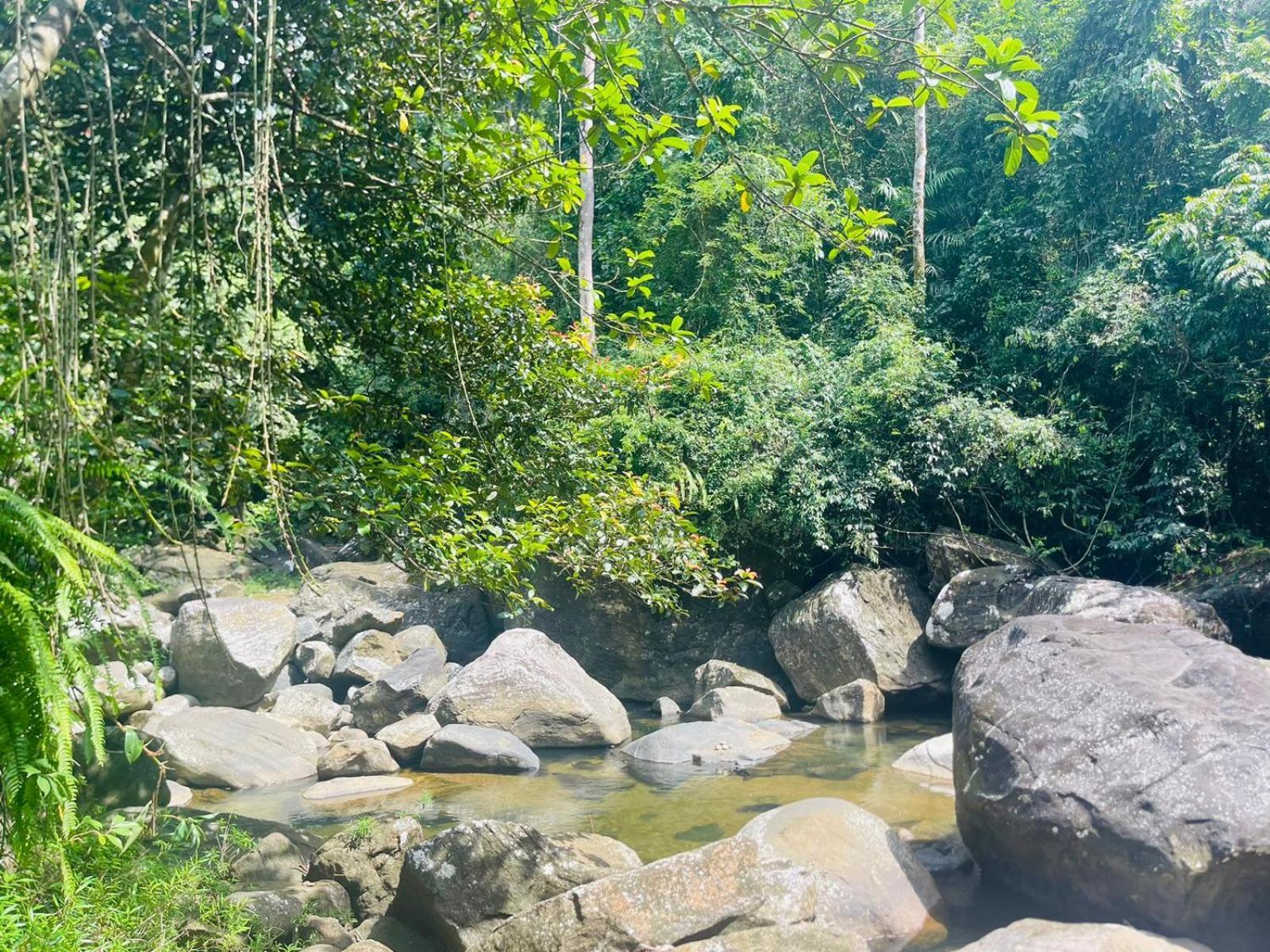 Palabaddala Tea And Eco Lodge Ratnapura Ngoại thất bức ảnh