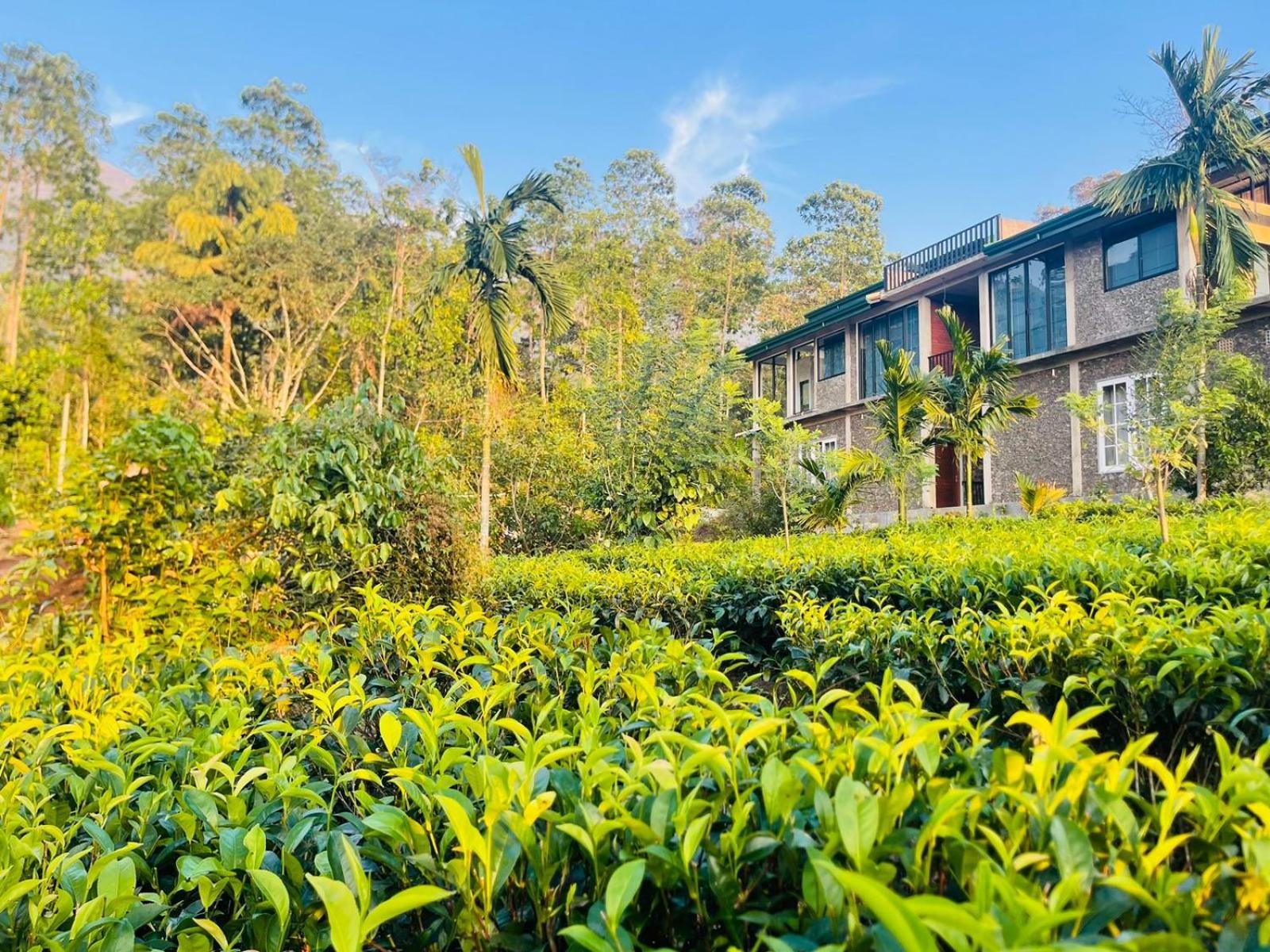 Palabaddala Tea And Eco Lodge Ratnapura Ngoại thất bức ảnh