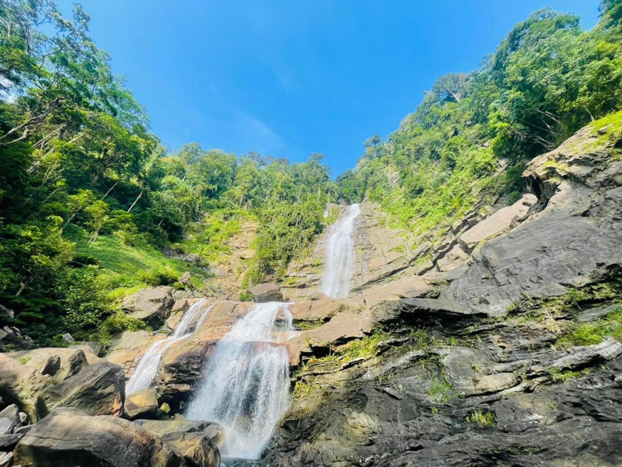 Palabaddala Tea And Eco Lodge Ratnapura Ngoại thất bức ảnh