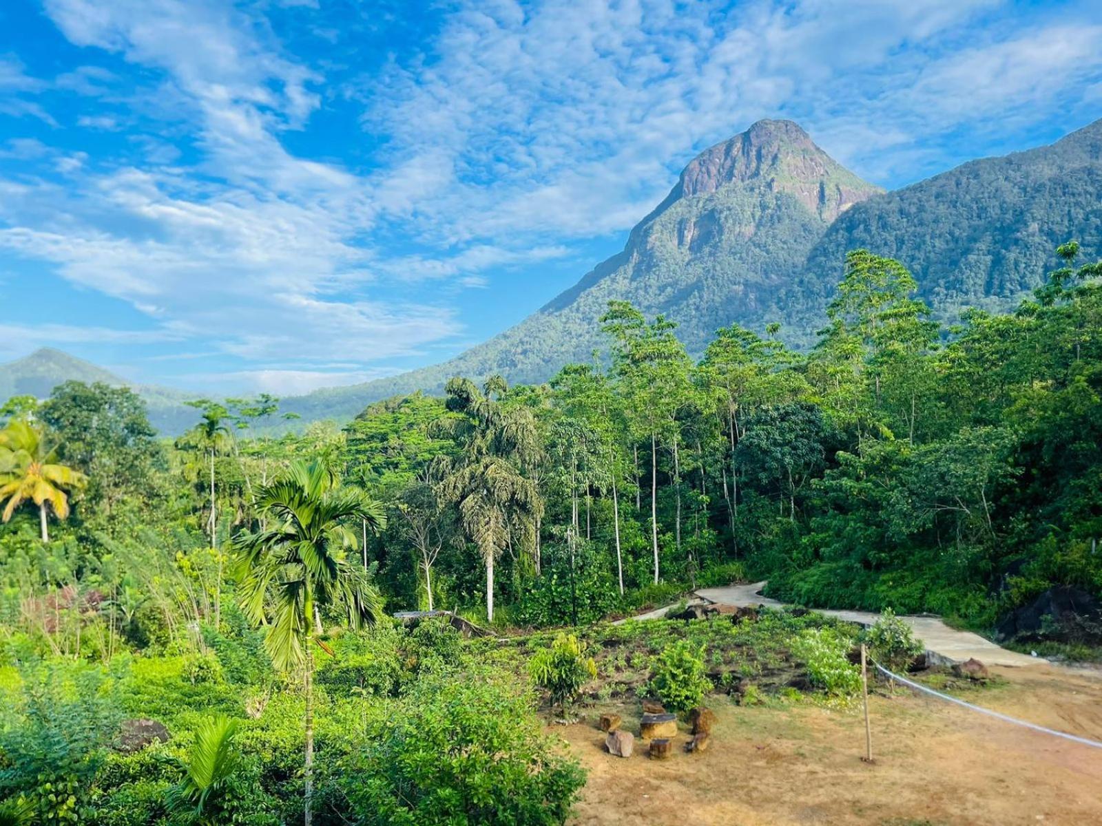 Palabaddala Tea And Eco Lodge Ratnapura Ngoại thất bức ảnh